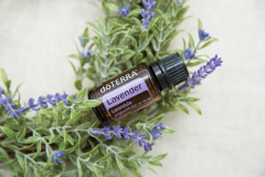 Lavender 15 ml
Lavender 15 ml
Lavender 15 ml