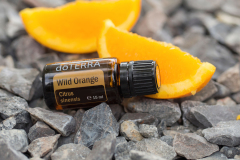 Wild Orange 15 ml
Wild Orange 15 ml
Wild Orange 15 ml