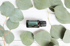 Balance 15 ml
Balance 15 ml
Balance 15 ml